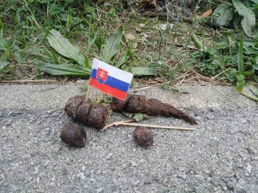 Konsolidácia